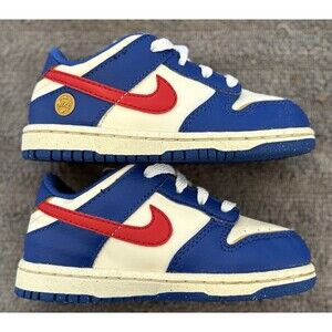 Nike Dunk Next Nature Superhero Toddler Sneakers  FD0675-400 Kids Size 8C